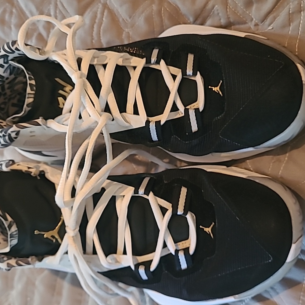 Jordan Zion 1, 9.5